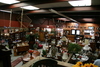 antique_shop1.jpg