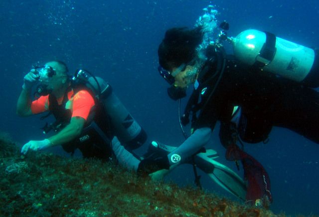 ../pictures/divers.jpg