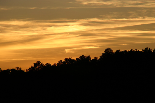 ../pictures/Oak_mountain_park37.jpg
