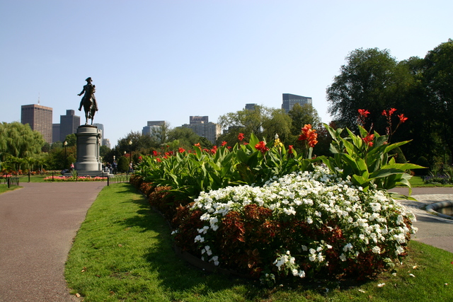 ../pictures/toward_Boston_Commons_and_Charles_river6.jpg
