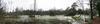 audubon_swamp_panorama2.jpg