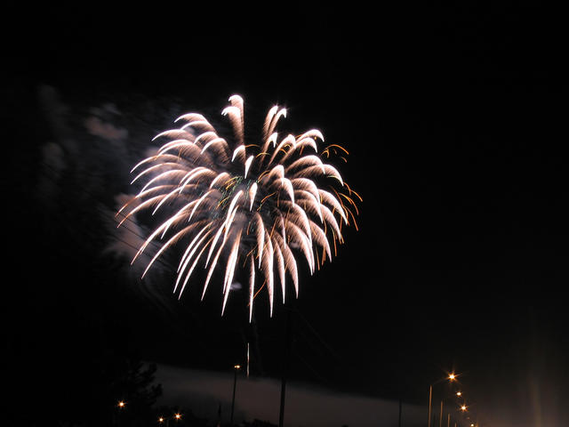 ../pictures/fireworks19.jpg