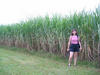 Gwen_and_sugar_cane.jpg