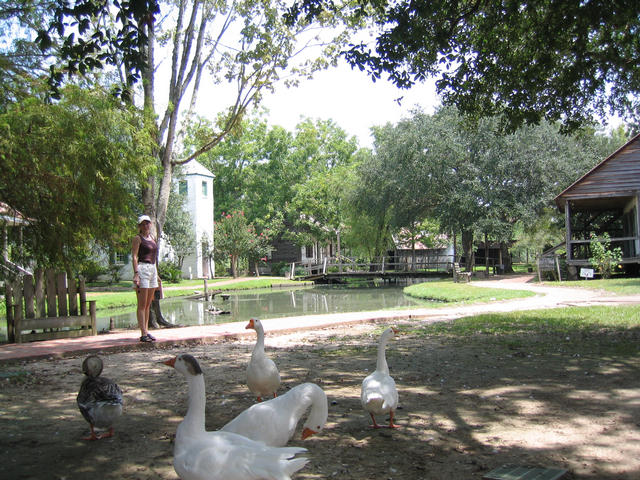 ../pictures/accadian_village1.jpg