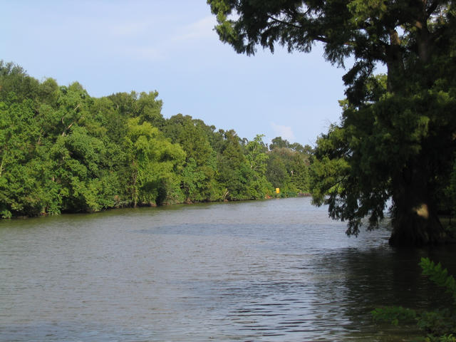 ../pictures/bayou_river.jpg