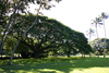 Moanalua_gardens6.jpg