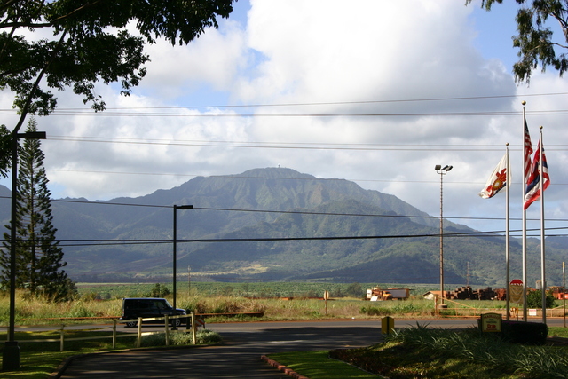 ../pictures/Dole_plantation1.jpg