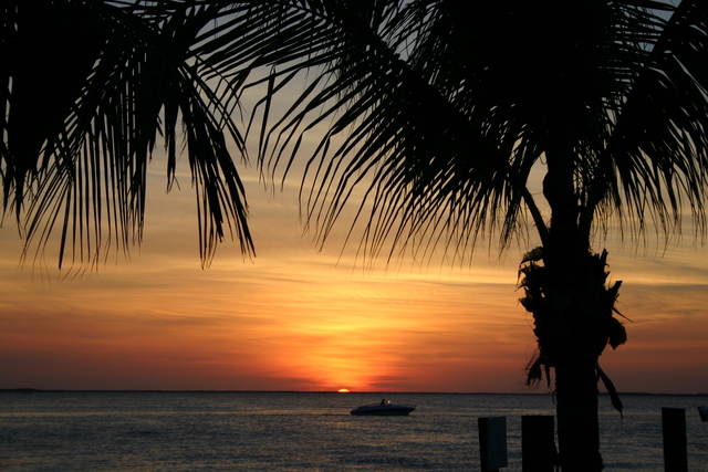 ../pictures/Sunsets34.jpg