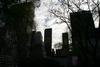 Central_Park39.jpg