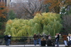 Central_Park9.jpg