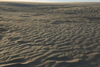 Kitty_Hawk_dune_at_sunset1.jpg