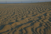 Kitty_Hawk_dune_at_sunset13.jpg