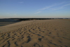 Kitty_Hawk_dune_at_sunset5.jpg