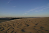 Kitty_Hawk_dune_at_sunset6.jpg