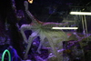 Manteo_aquarium31.jpg