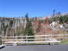 Clingmans_dome16.jpg