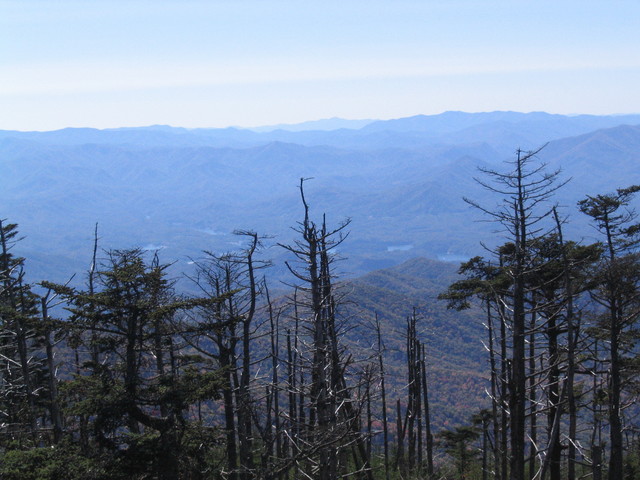 ../pictures/Clingmans_dome13.jpg