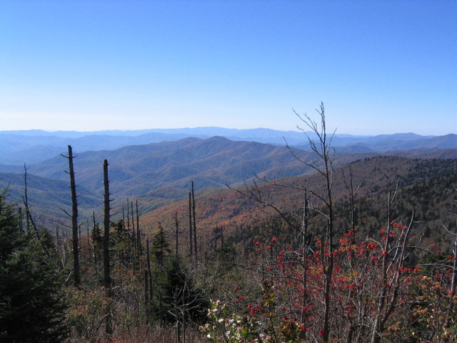 ../pictures/Clingmans_dome15.jpg