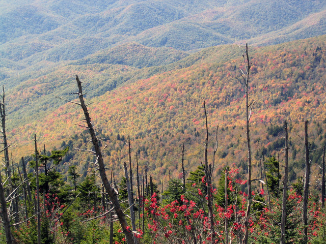 ../pictures/Clingmans_dome17.jpg