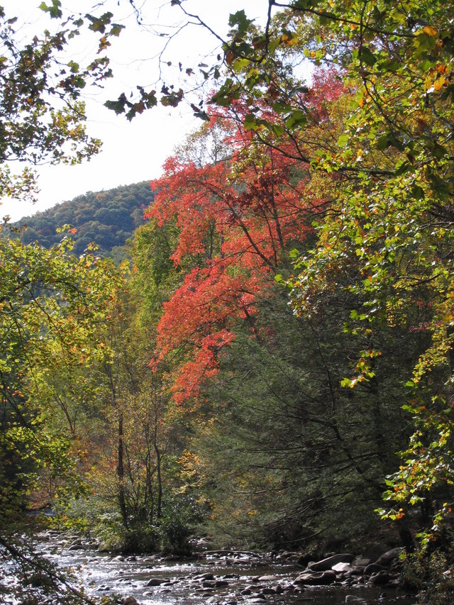 ../pictures/Little_river_views6.jpg