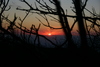 sunset_at_Craggy_Gardens23.jpg